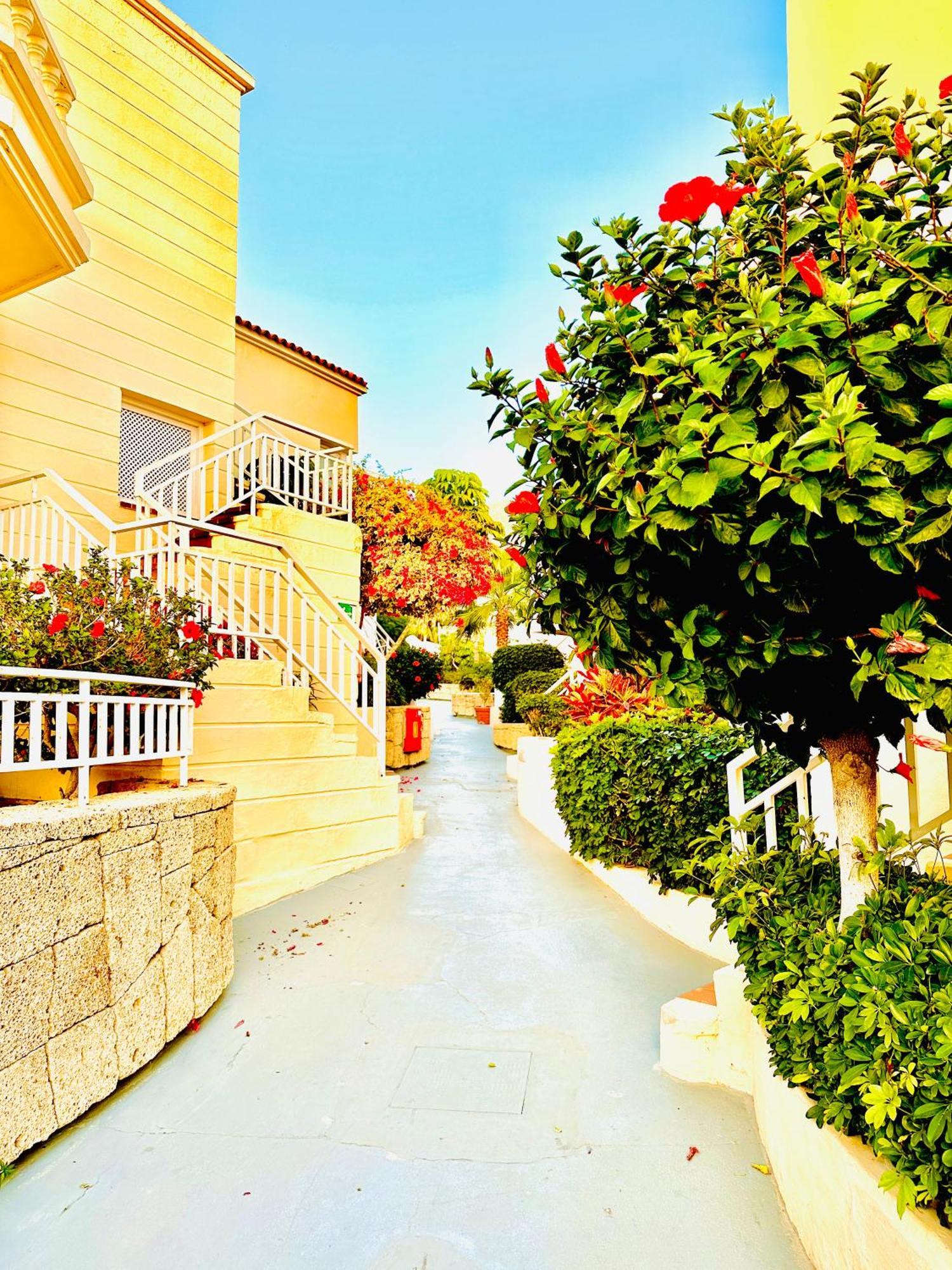Luxury Villa Fanabe With Private Garden Costa Adeje  Bagian luar foto